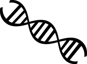 hormonas sueño